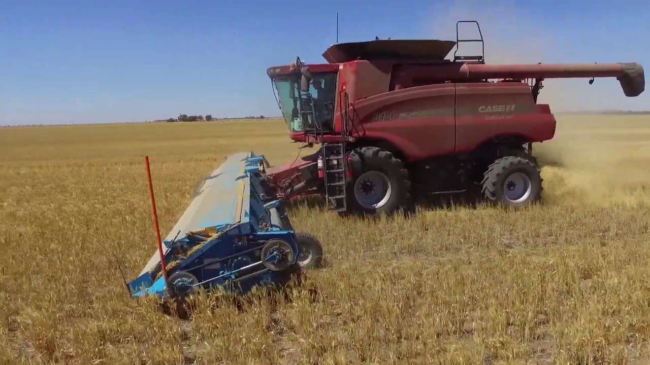 Shelbourne Stripper NoTil Harvest Rupanyup 2018
