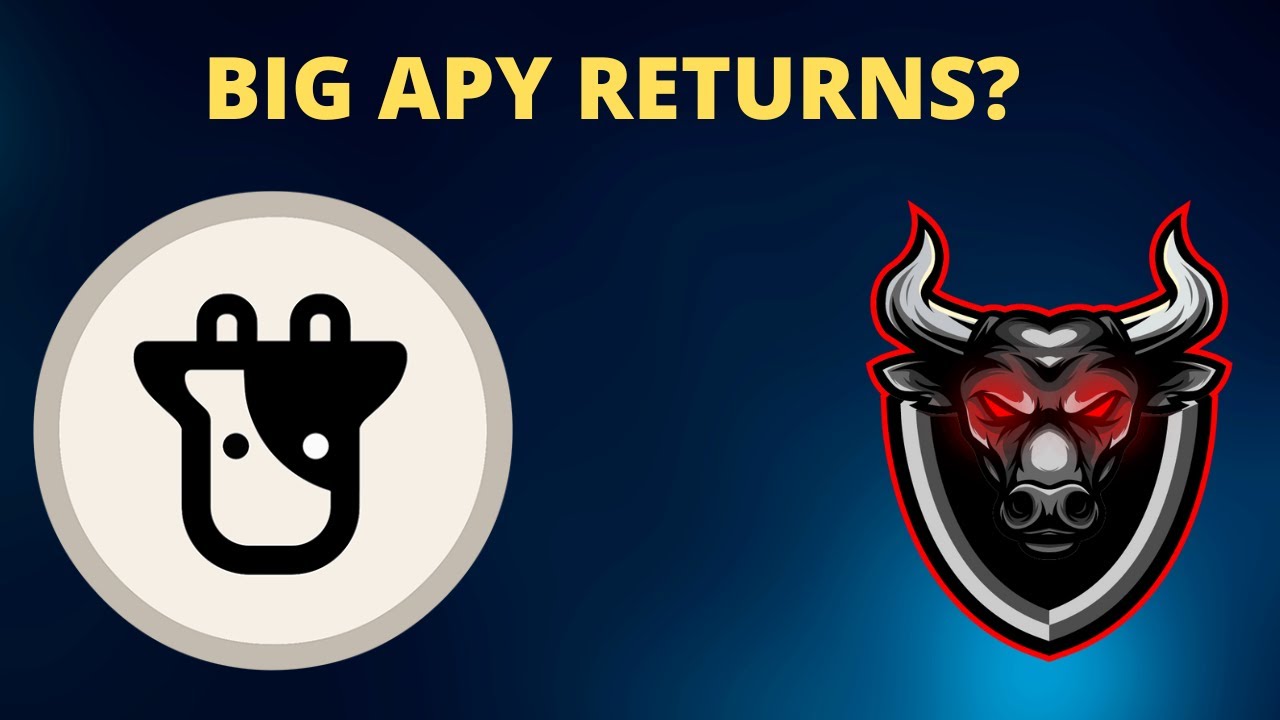Beefy Finance - Great For High APY Returns?