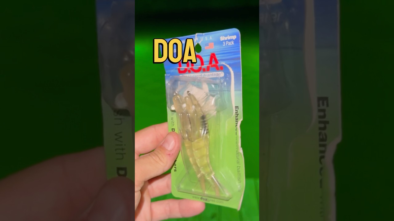 Catching Speckled Trout on a Fake Shrimp Lure #fishing