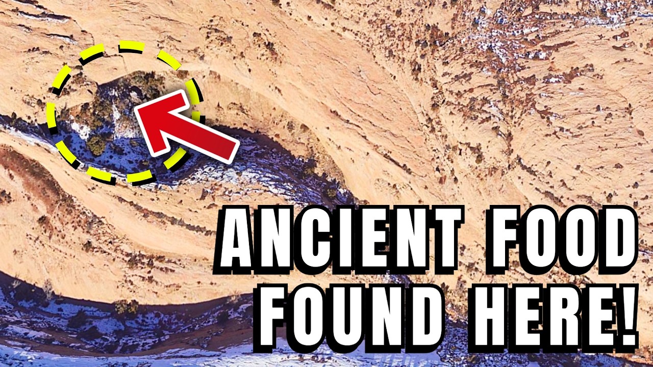 1,000 Year Old Corn Stalks Found in This Hidden Cave!