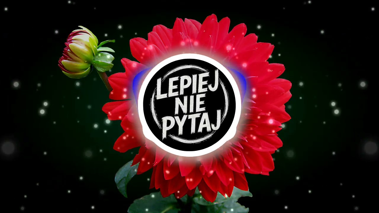 Lepiej Nie Pytaj - Myśli i chwile wspólne
