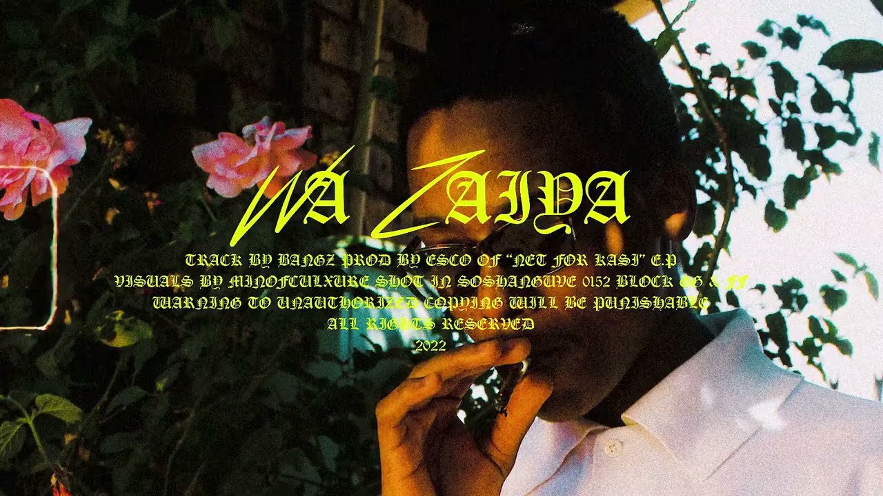 Skinny Bangz - Wa Zaiya (official visualizer)