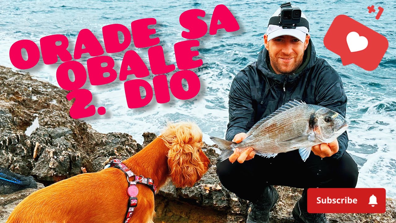 Orade sa obale part 2