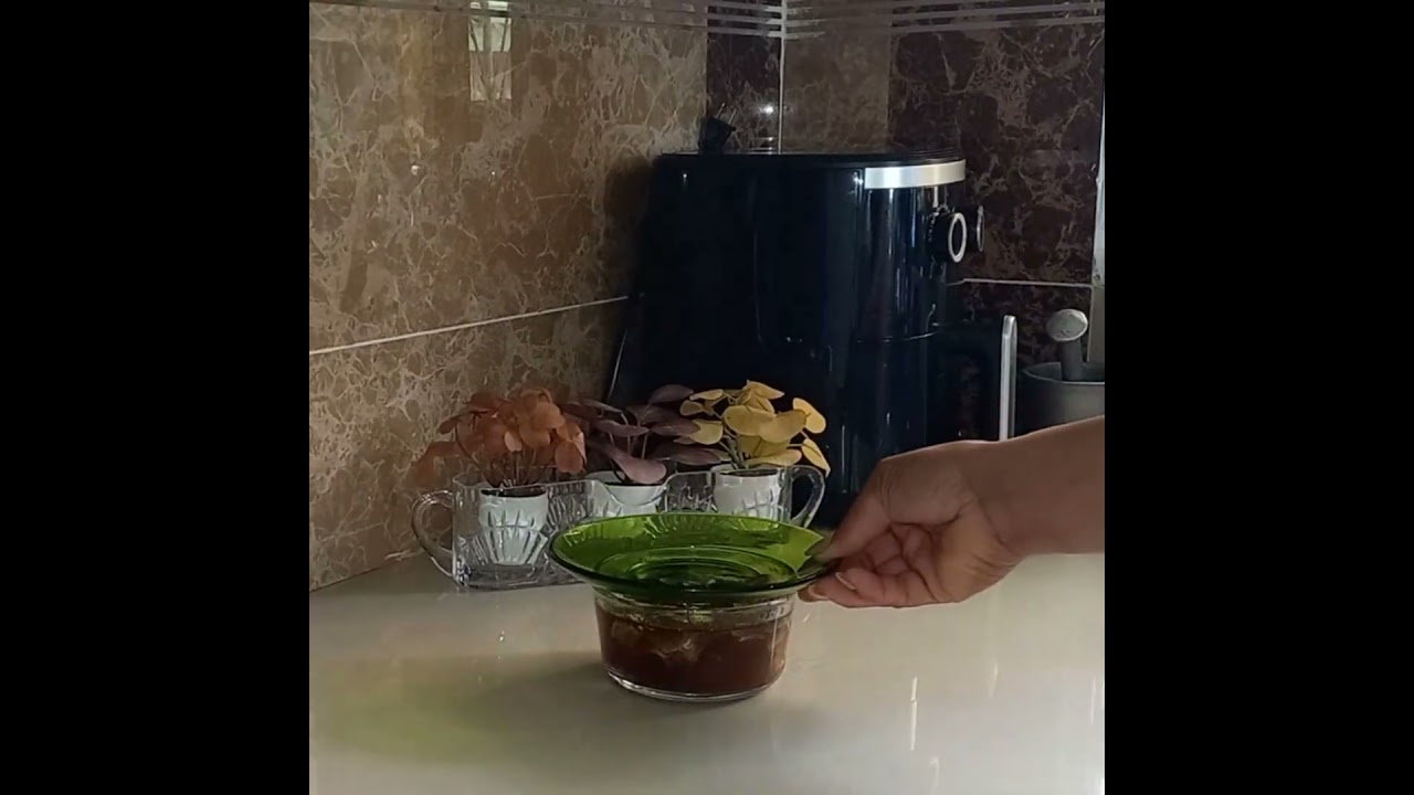 Protege  tus  plantas  con este  fungicida  natural.