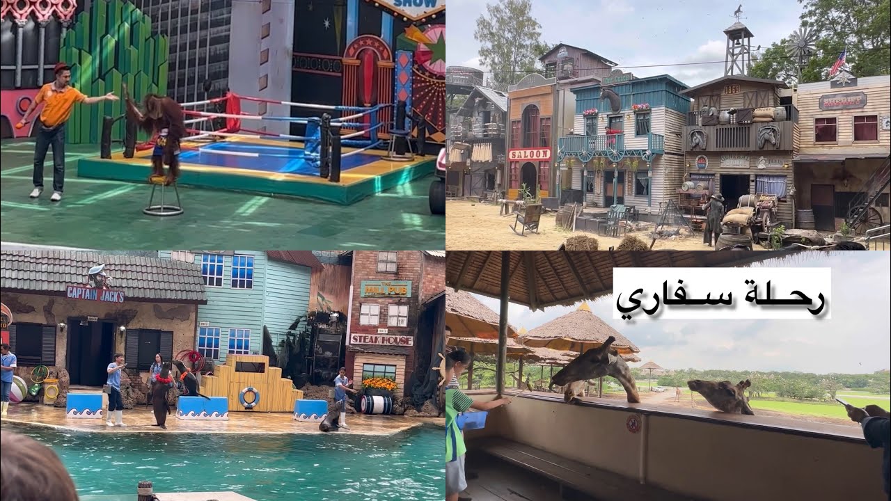 رحلتي الى #تايلاند بانكوك | زرت #سفاري | عروض الحيوانات المضحكة 🦧🦭🦥