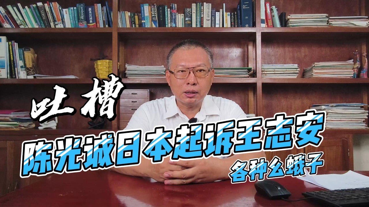 吐槽陈光诚日本起诉王志安