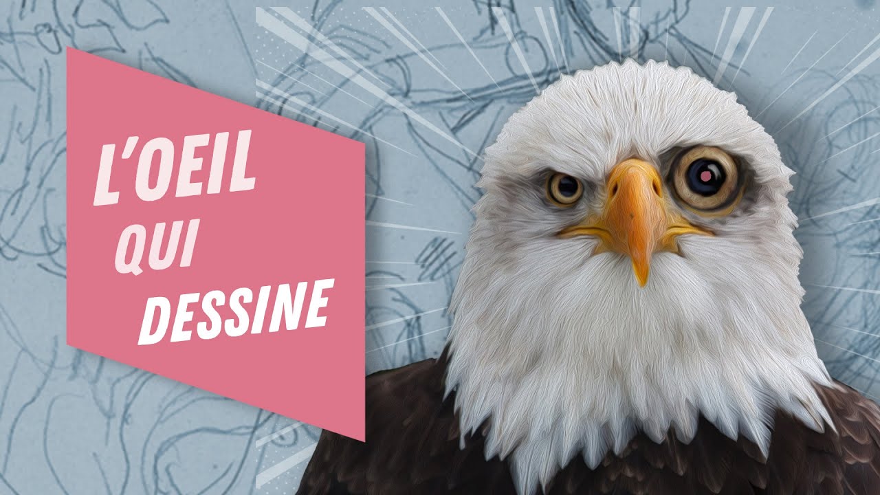 Débutant vs confirmé en dessin d'observation / Éduquer son regard pour le dessin 3/5