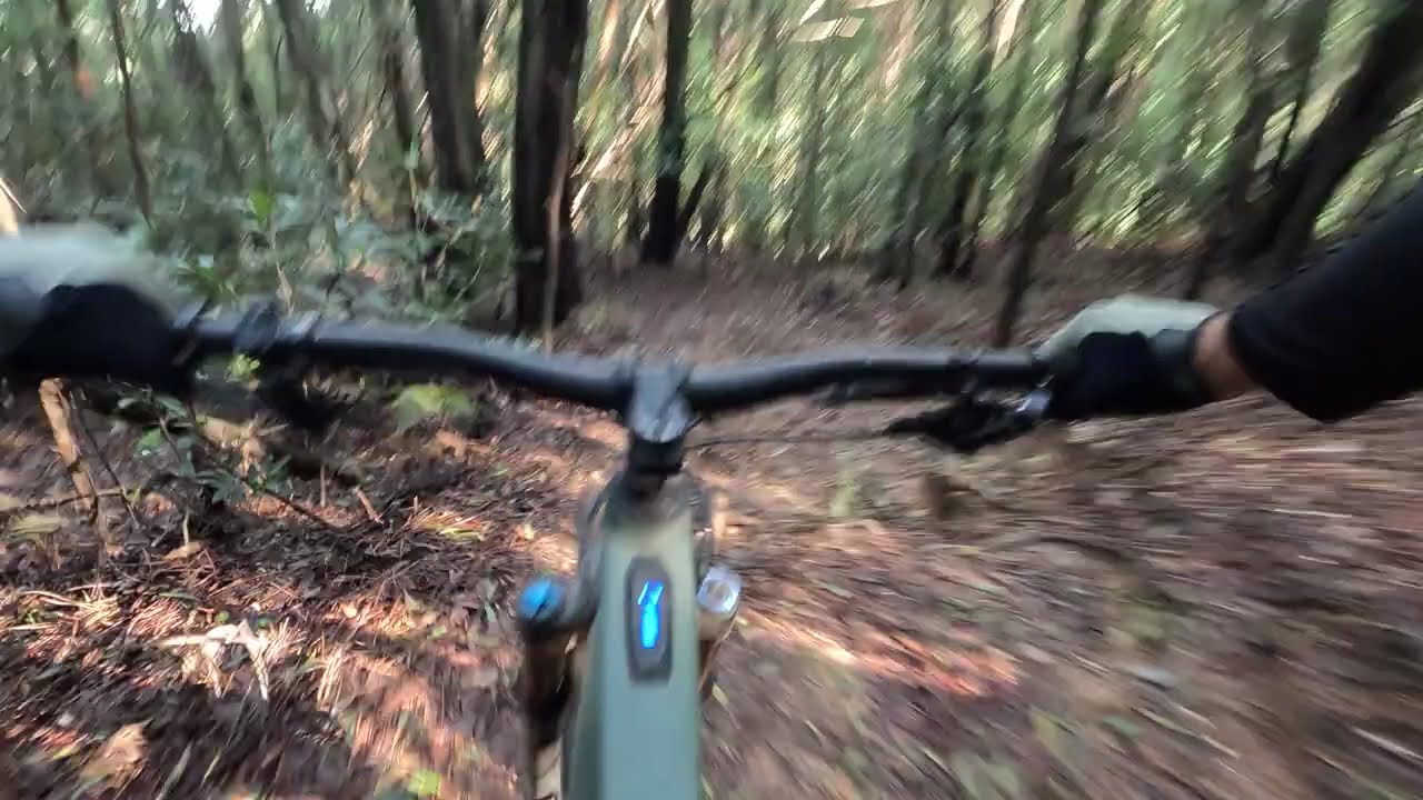 E-mtb Enduro -Serra de Sintra - 17 Paus