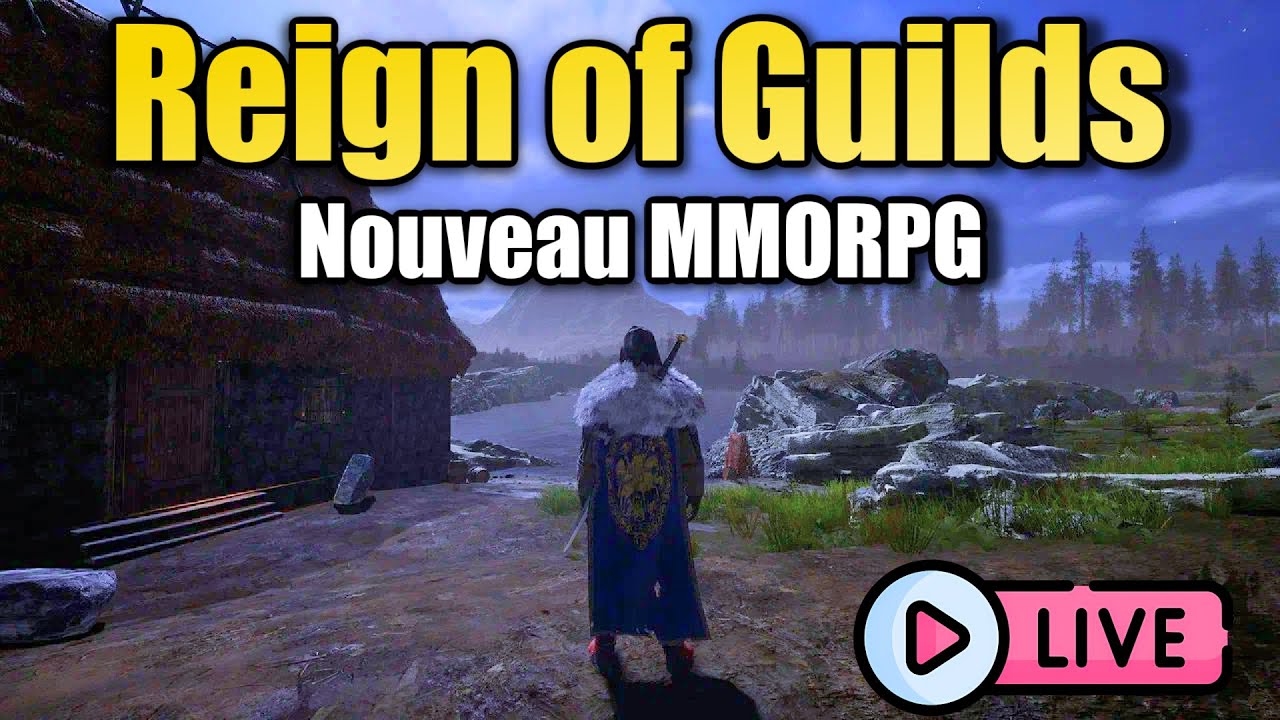 REIGN OF GUILDS (Stream FR) : On d&eacute;couvre ce nouveau MMORPG Free To Play pour PC ! MMO PvE & PvP