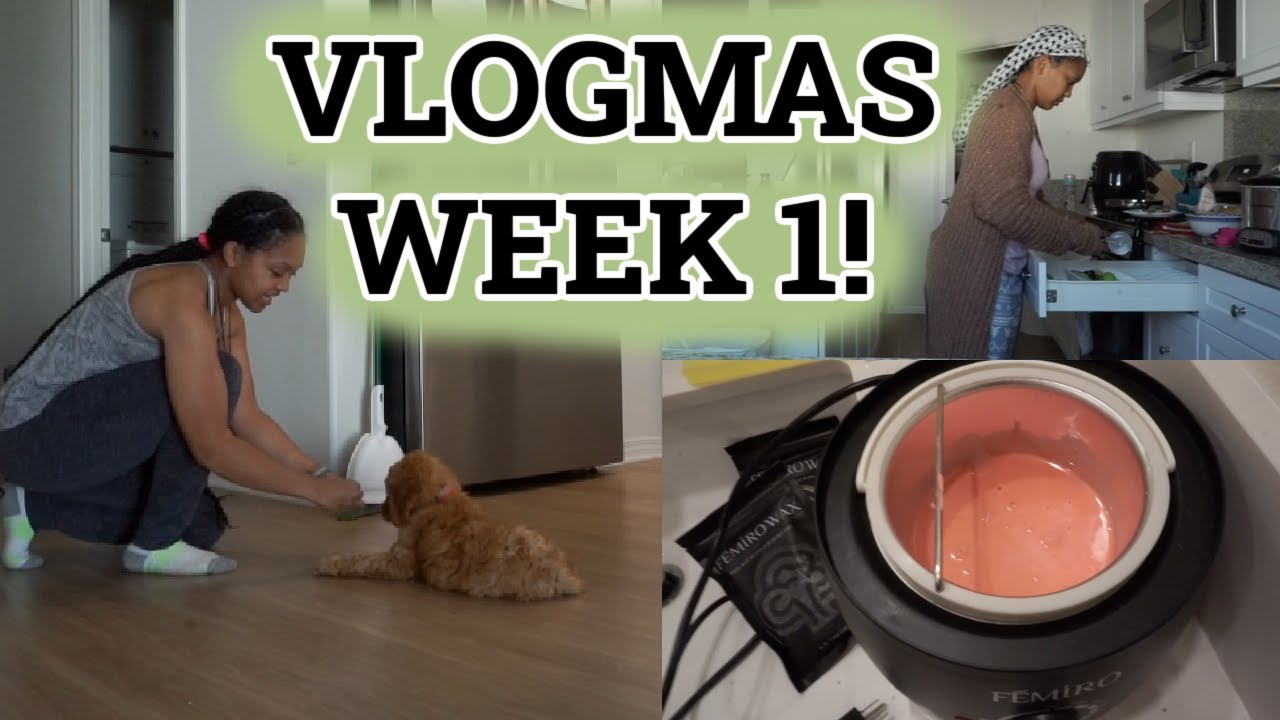 VLOGMAS WEEK 1: Shopping, Vet Check, Cleaning + Waxing | Lovvesammay