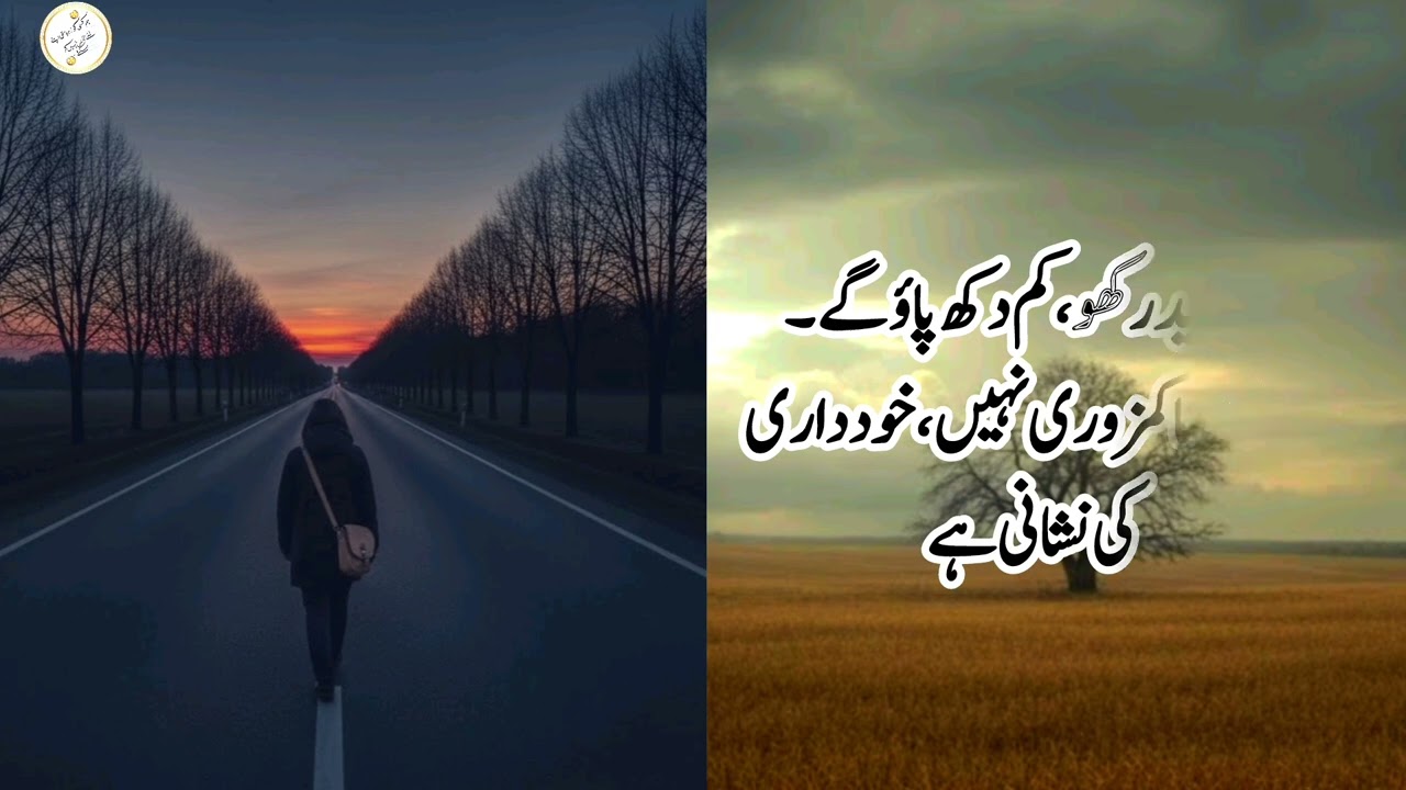 Learn to Live Alone – No One Truly Belongs to Anyone | Powerful Urdu Quotes | Golden Wisdom 