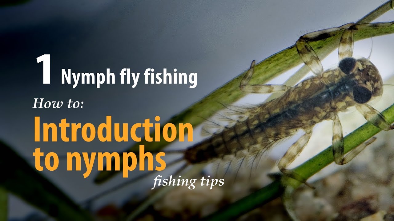 How to &bull;  Nymph fly fishing &bull; Introduction to nymph fishing &bull; fishing tips