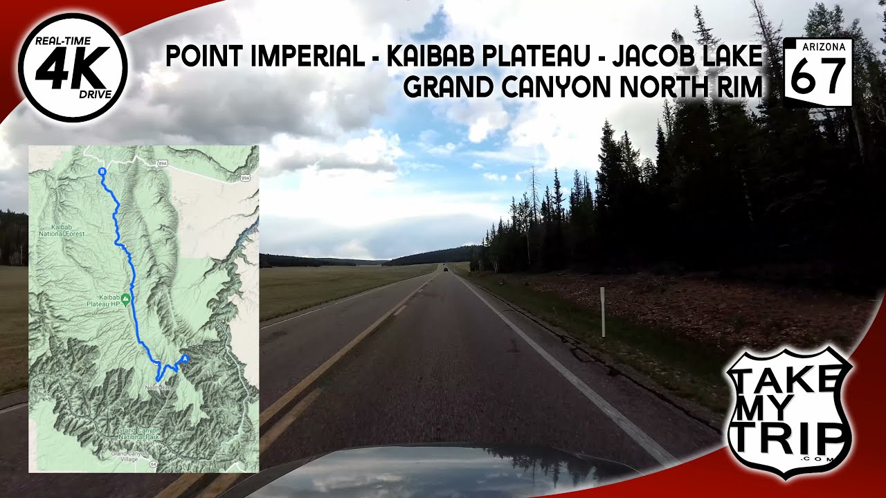 From the Grand Canyon to Jacob Lake, Arizona Route 67 Northbound across the Kaibab Plateau, 4K Drive