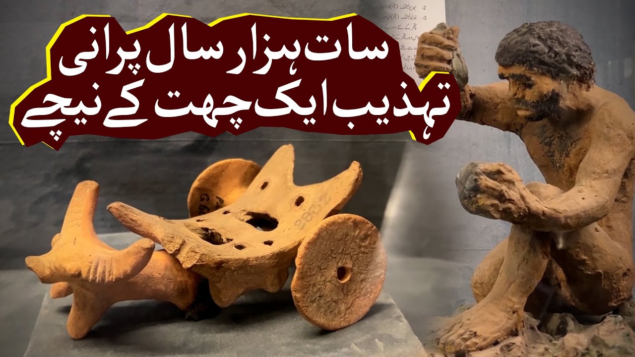 7,000 Year Old Civilization Preserved Under One Roof - Lahore Museum | ARY Digital