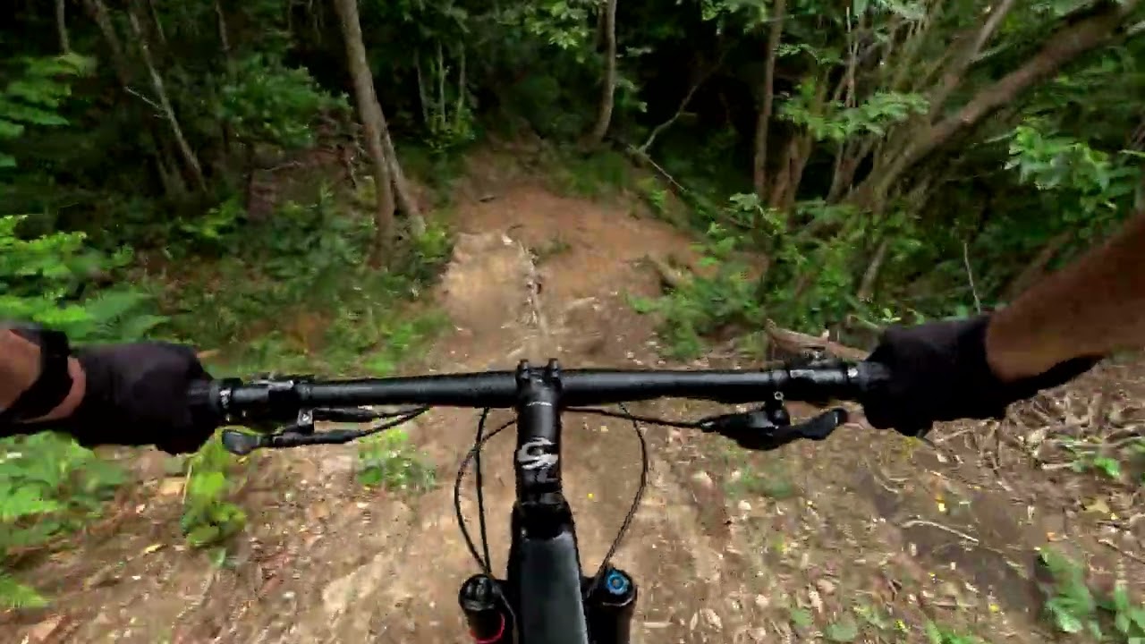 Genova Sestri Ponente Mtb: trail Freschi.