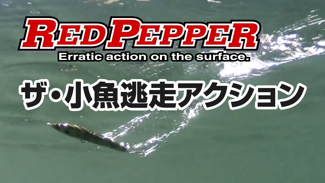【ルアーアクション動画】レッドペッパー / Red Pepper / Tiemco Bass Fishing JP / ティムコ バスフィッシング