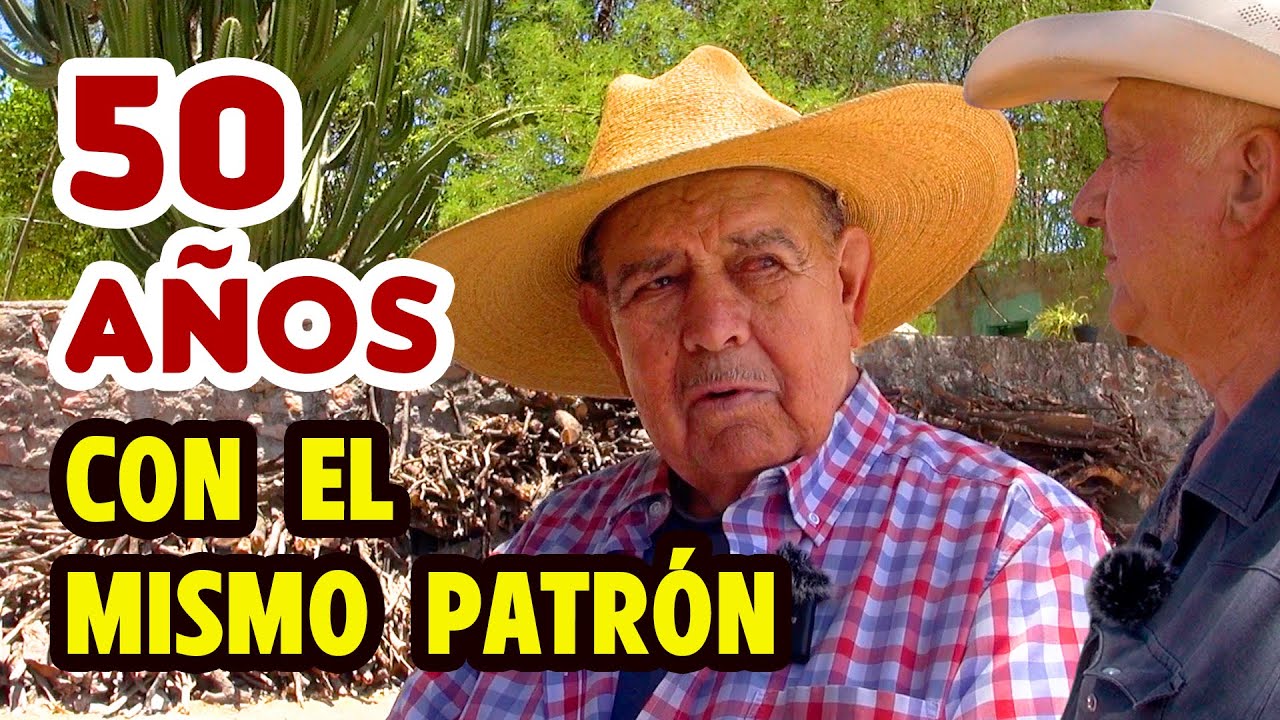 DEDIQUÉ MI VIDA A CUMPLIR los GUSTOS DE MI PAPÁ