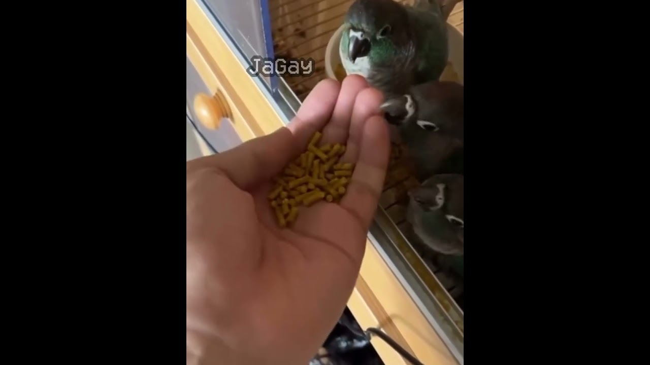 half life (0.67) (no effort) #halflife #halflife1