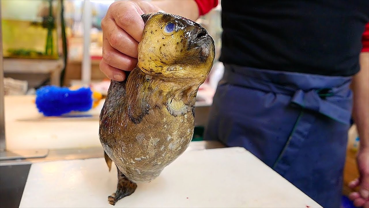 日本路邊小吃 - 圓鰭魚 壽司 海鮮火鍋