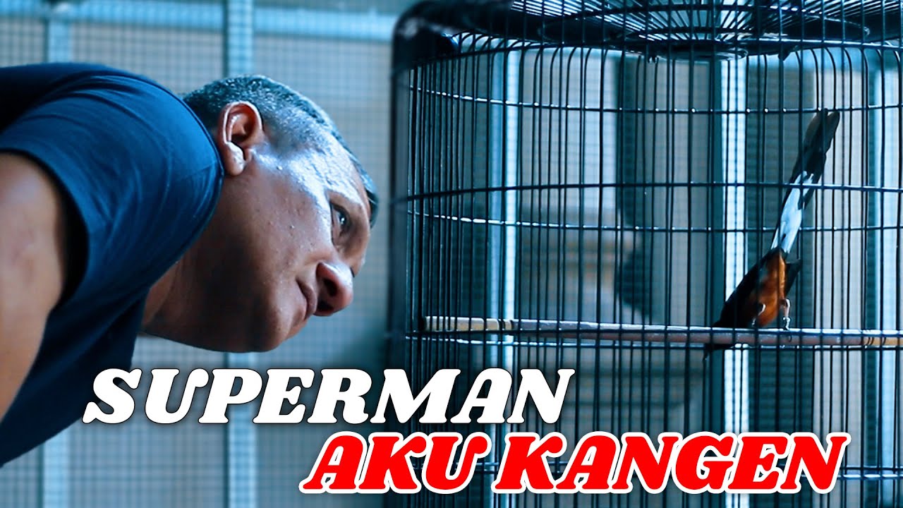 Superman Aku Kangen