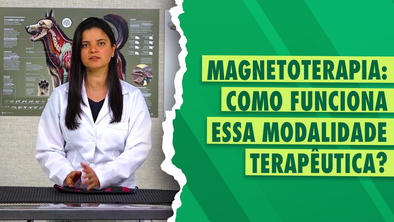 Uso de Magnetoterapia na Fisioterapia Veterinária