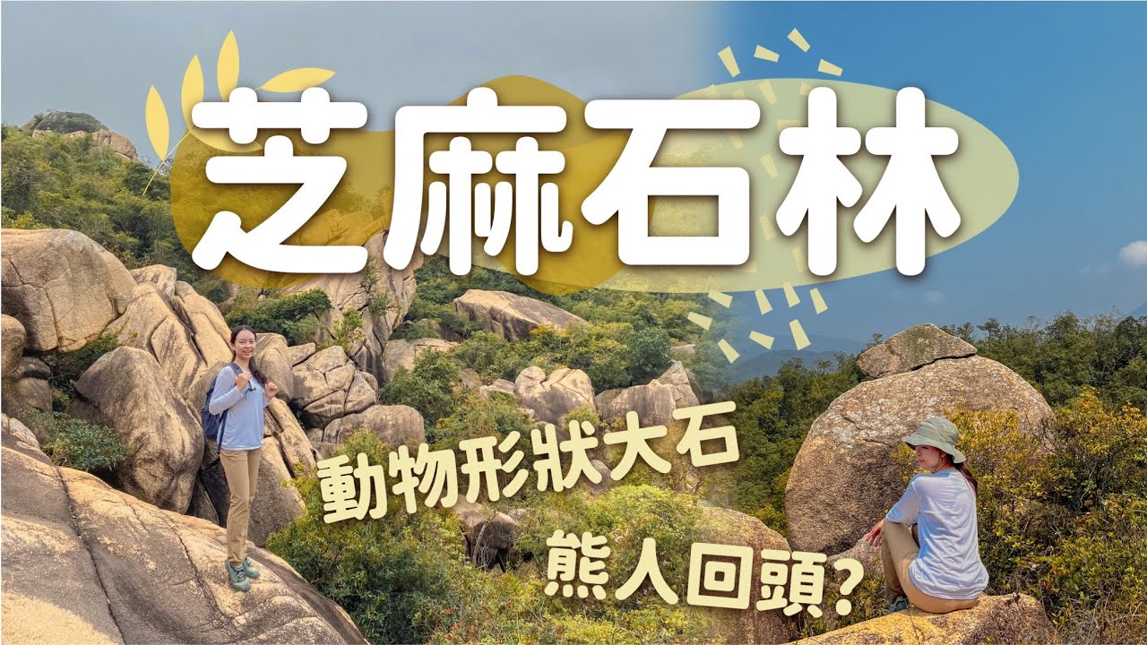 人稱動物樂園嘅石林｜巨石滿佈山頭🗿｜熊貓石🐼．海豚石．魚紋石🐟．熊人回頭石🐻｜冷門行山路線｜香港行山好去處