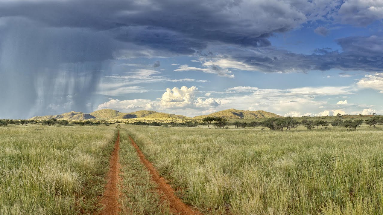 What defines Tswalu? South Africa's largest private reserve.