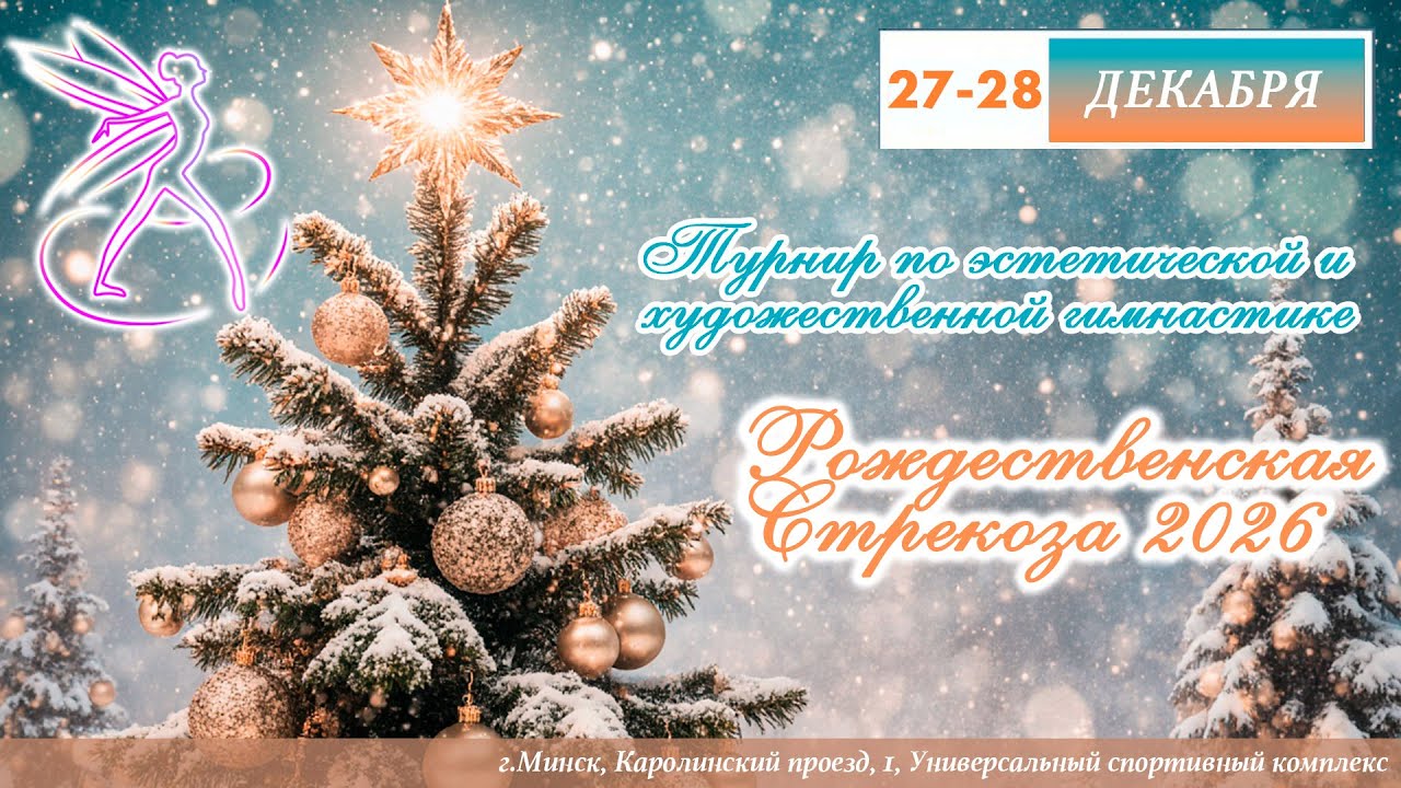 27.12.2025. Рождественская Стрекоза 2026. Художественная гимнастика. Часть 1
