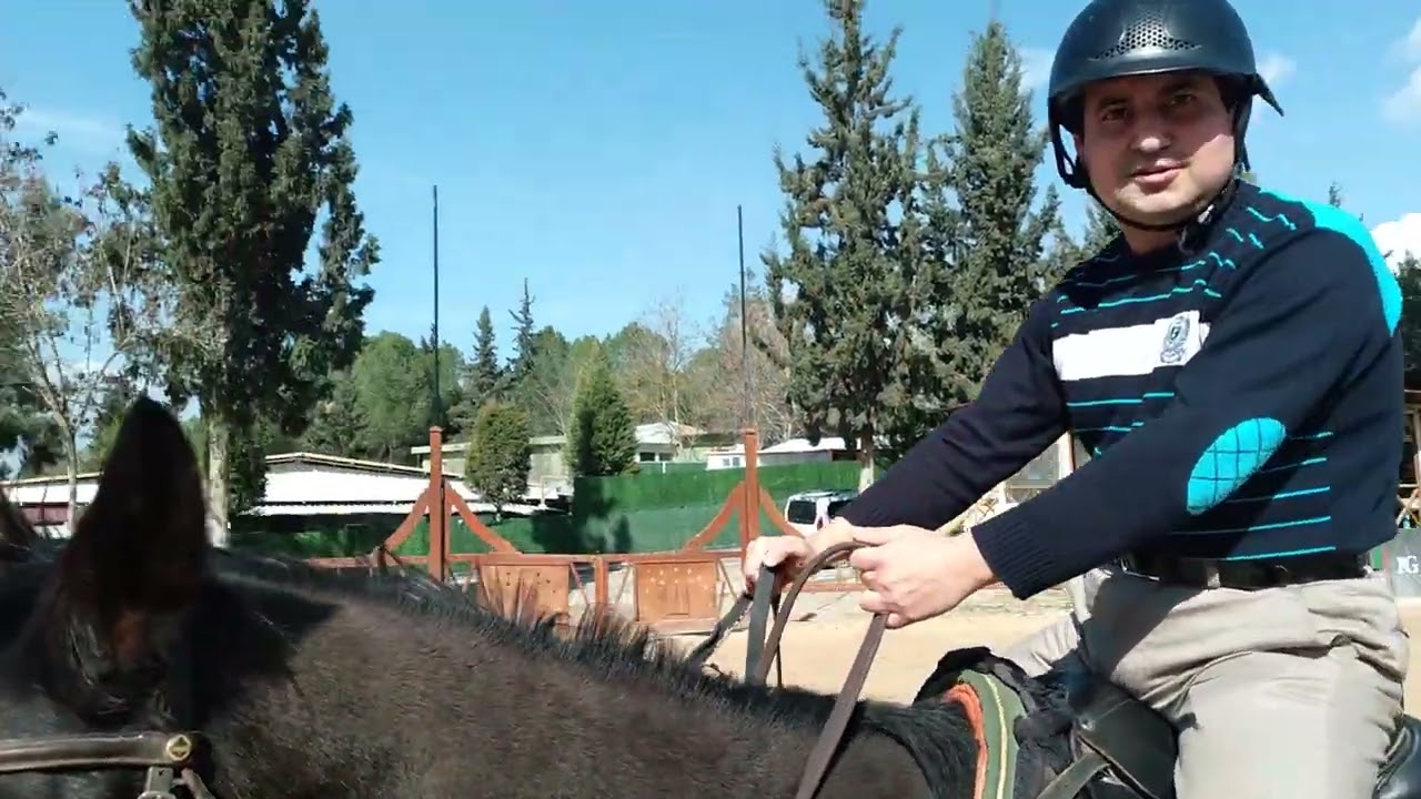 Süvari açık manejde at binme 45