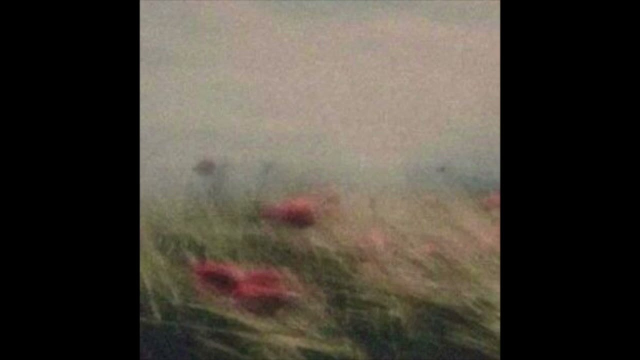 (free) indie rock + bedroom pop type beat 