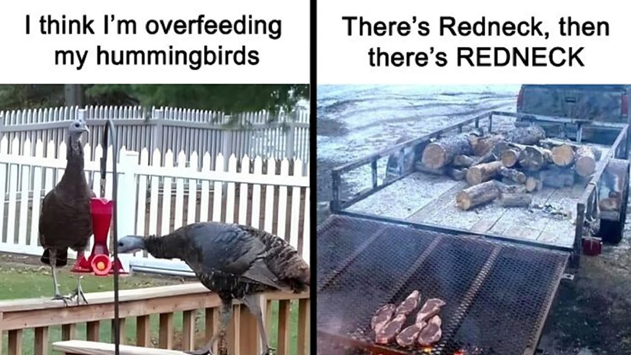 Hilarious Proof That Farm Life Isn’t All Sunshine and Silence | HahaHub