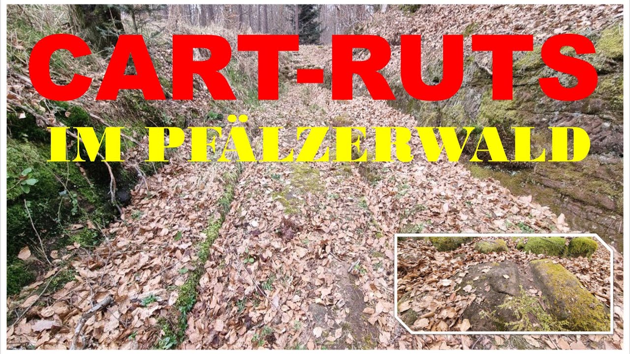🔥🗿"CART RUTS: Jahrtausendealte Spuren im Pfälzerwald entdeckt!"🗿🔥