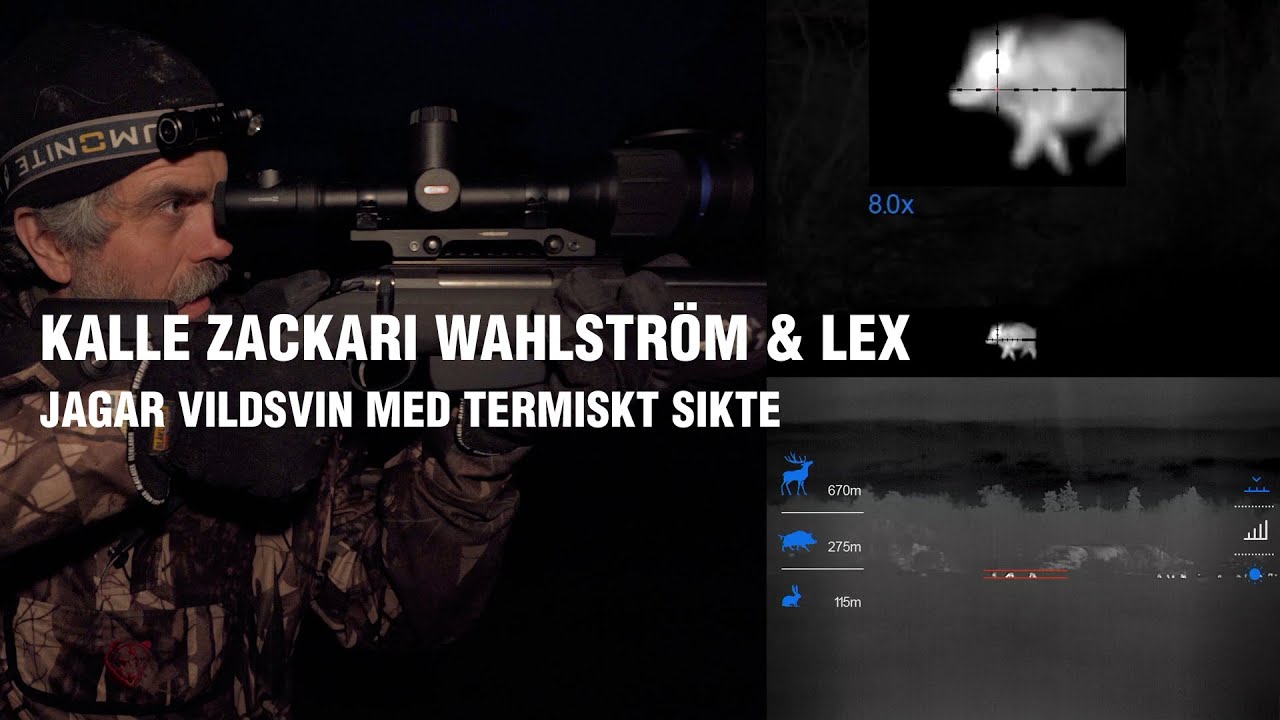 Kalle Zackari Wahlström & Lex jagar vildsvin med termiskt mörkersikte