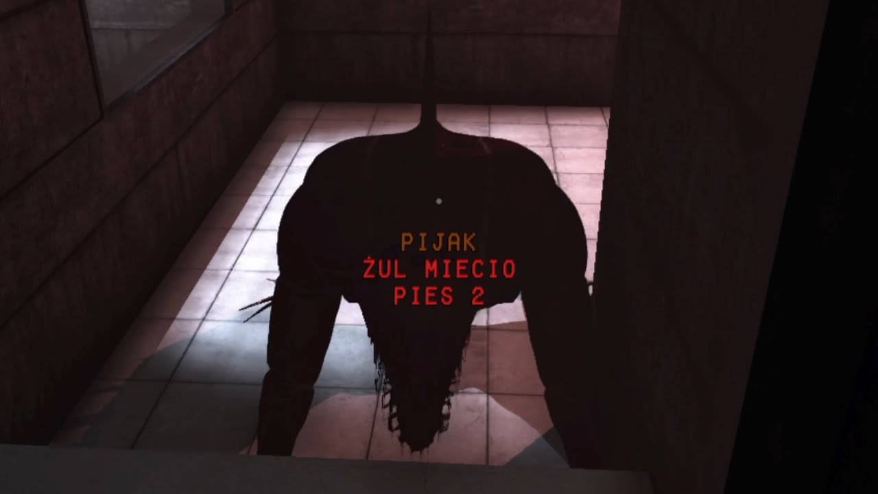 RANDOMOWO W SCP:SL (S3E44)