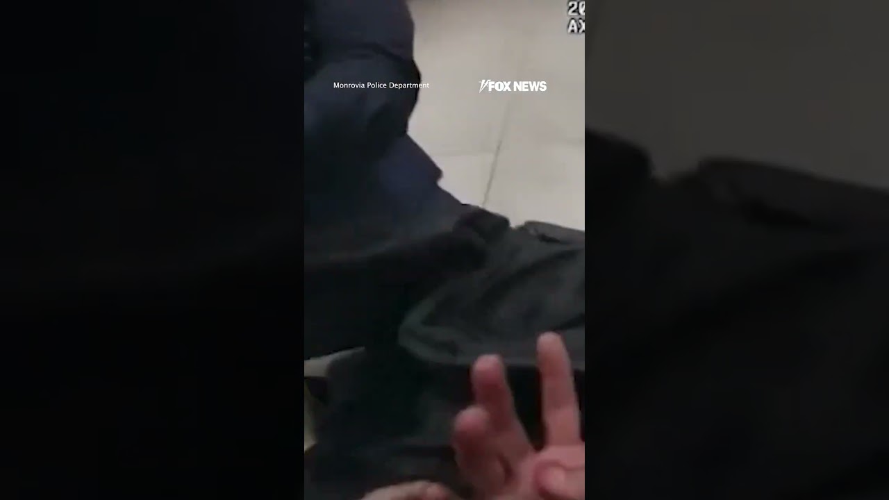 SEE IT: Cops nab suspect while eating lunch #foxnews #news #shorts #police #crimenews #restaurant