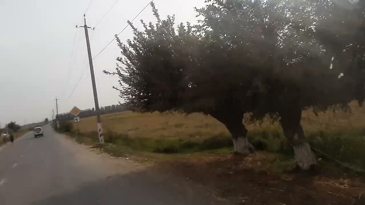 ЁЛГИЗБОГ   ПАХТАКОР  КАЙР  БОДРОГОБОД  ПАХТАОБОДДАГИ   МАХАЛЛАЛАР