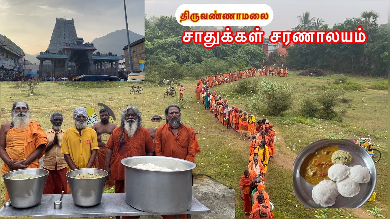 திருவண்ணாமலை சாதக்களின் சொர்க்க பூமி|| சாதுக்கள் சேவை மையம்