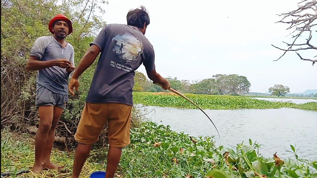 Best fishing video Sri Lanka with hook fishing 🎣🐟