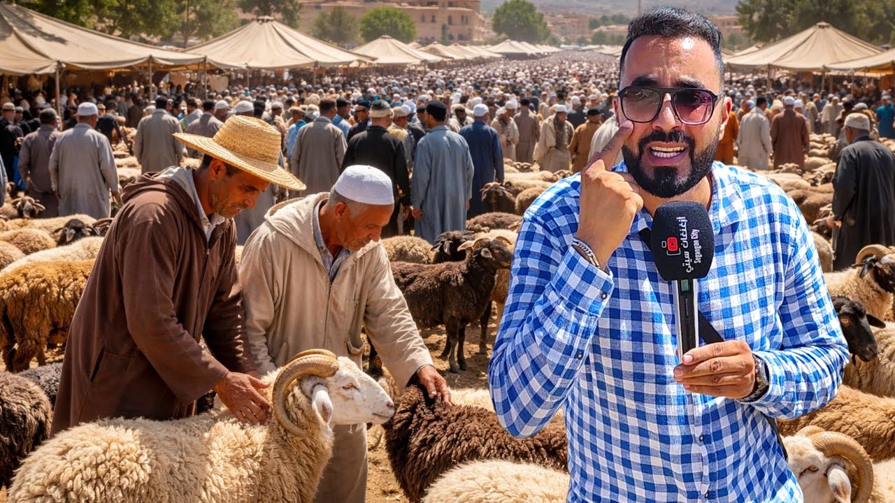 من أكبر سوق لـ المواشي في الناظور أجواء إستثنائية مع تصريحات التجار في سوق العروي ـ بني أوكيل ـ