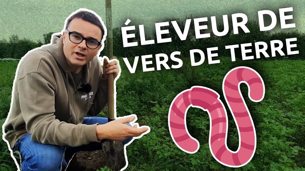 3 secrets d'un bon éleveur de vers de terre