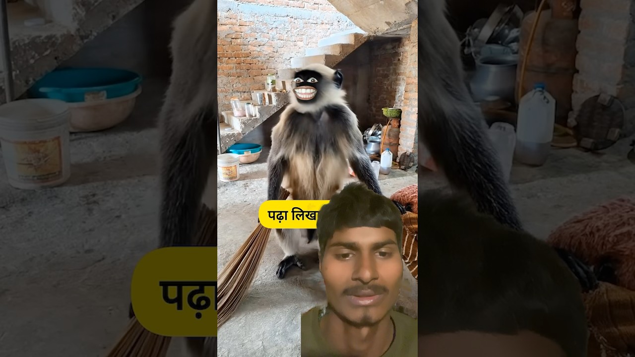 पढ़ा लिखा बंदर 