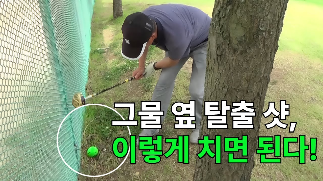 가평 파크골프 고수전! 실력자들 모이면 이렇게 됩니다. #파크골프