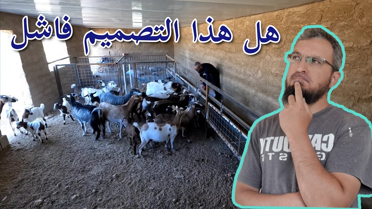 افضل طريقة لتنضيم التعليف و تقليل الخسارة في العلف ، زراعة عنب الياقوت، بناء كراج للسيارة  (217 )