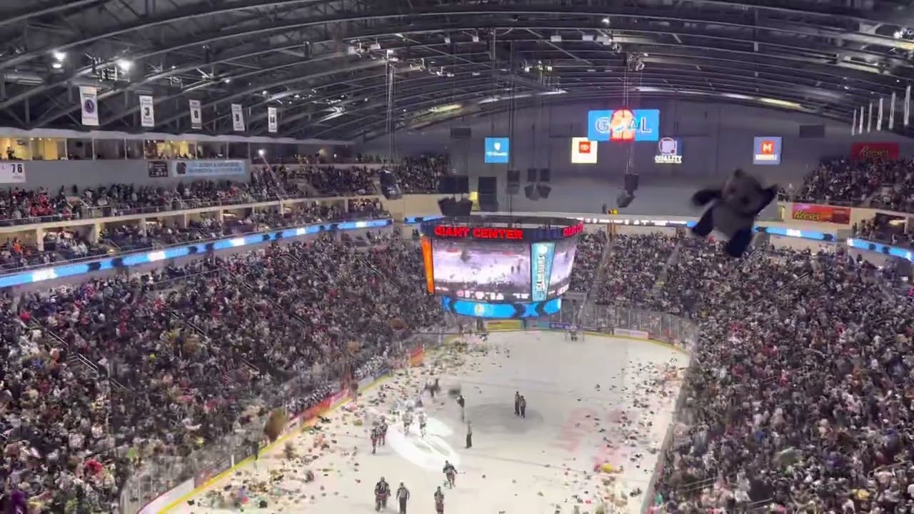 Hershey bears Teddy Bear Toss World Record! 52,341 teddy bears! (January 22nd 2022)