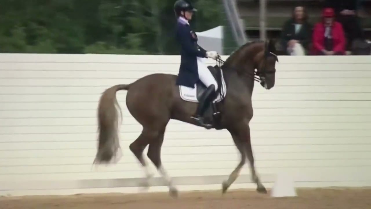 New Grand Prix mounts for US Olympian Adrienne Lyle!