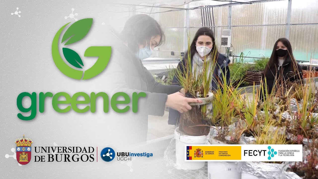 Recuperación de suelos contaminados | Proyecto europeo GREENER