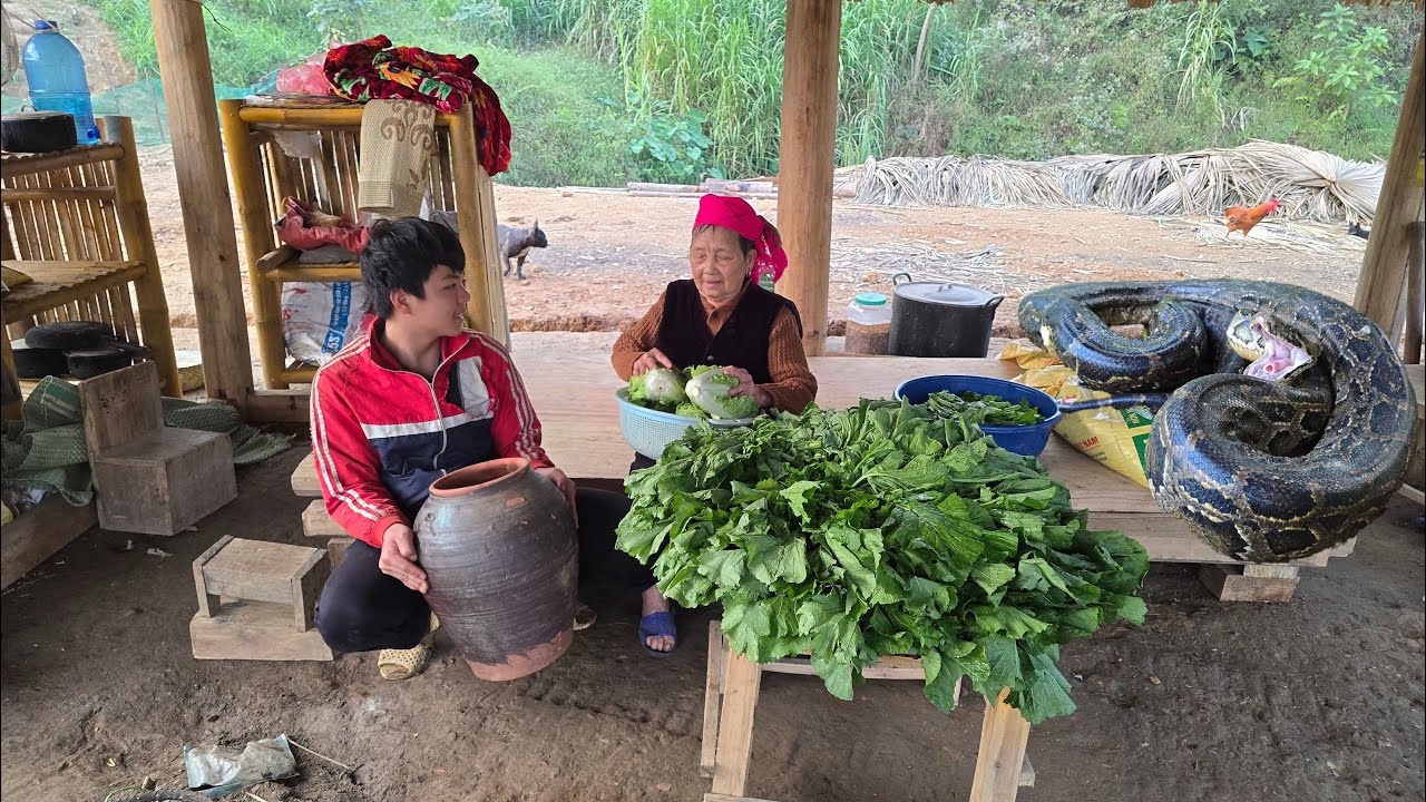 A giant python crawled into the chicken coop, while Thanh and the old woman pickled cabbage indoors.