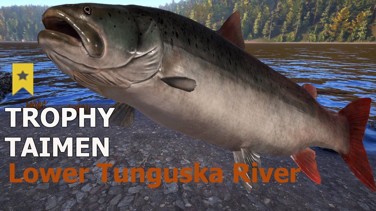 Russian Fishing 4 RF4 Lower Tunguska River Spot Active Taimen + Trophy
