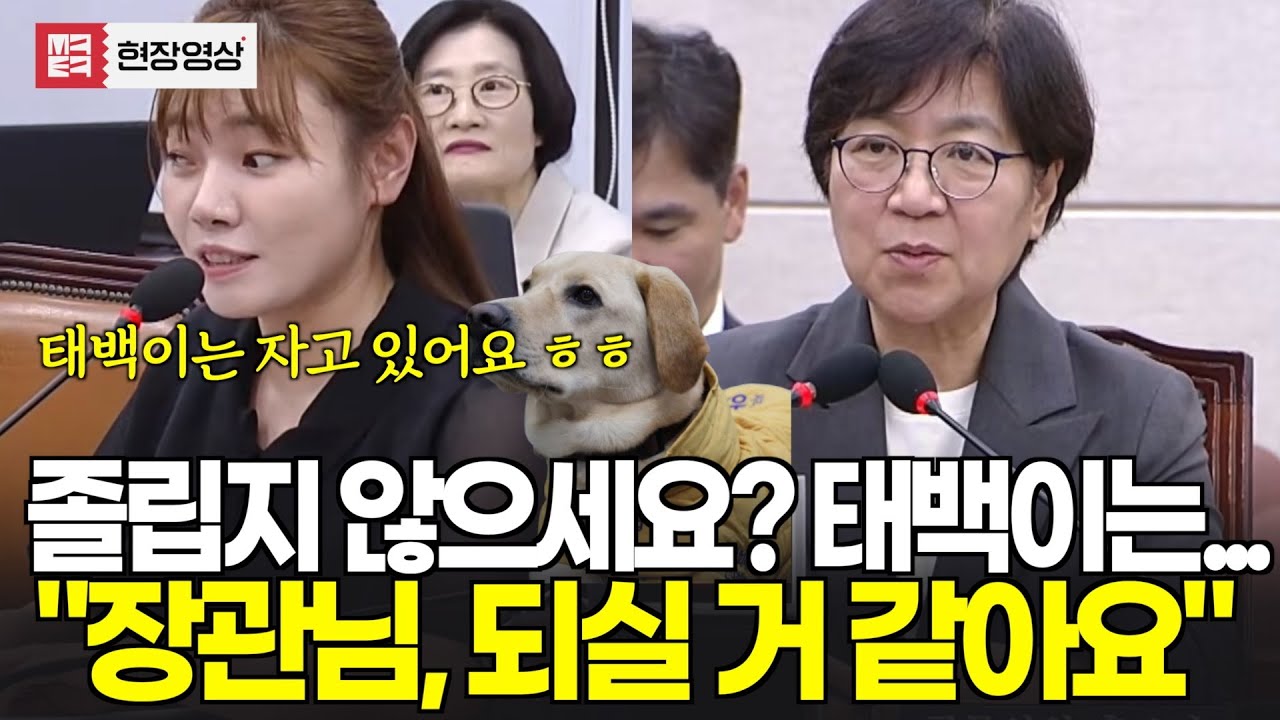 [현재시각 22:55] 