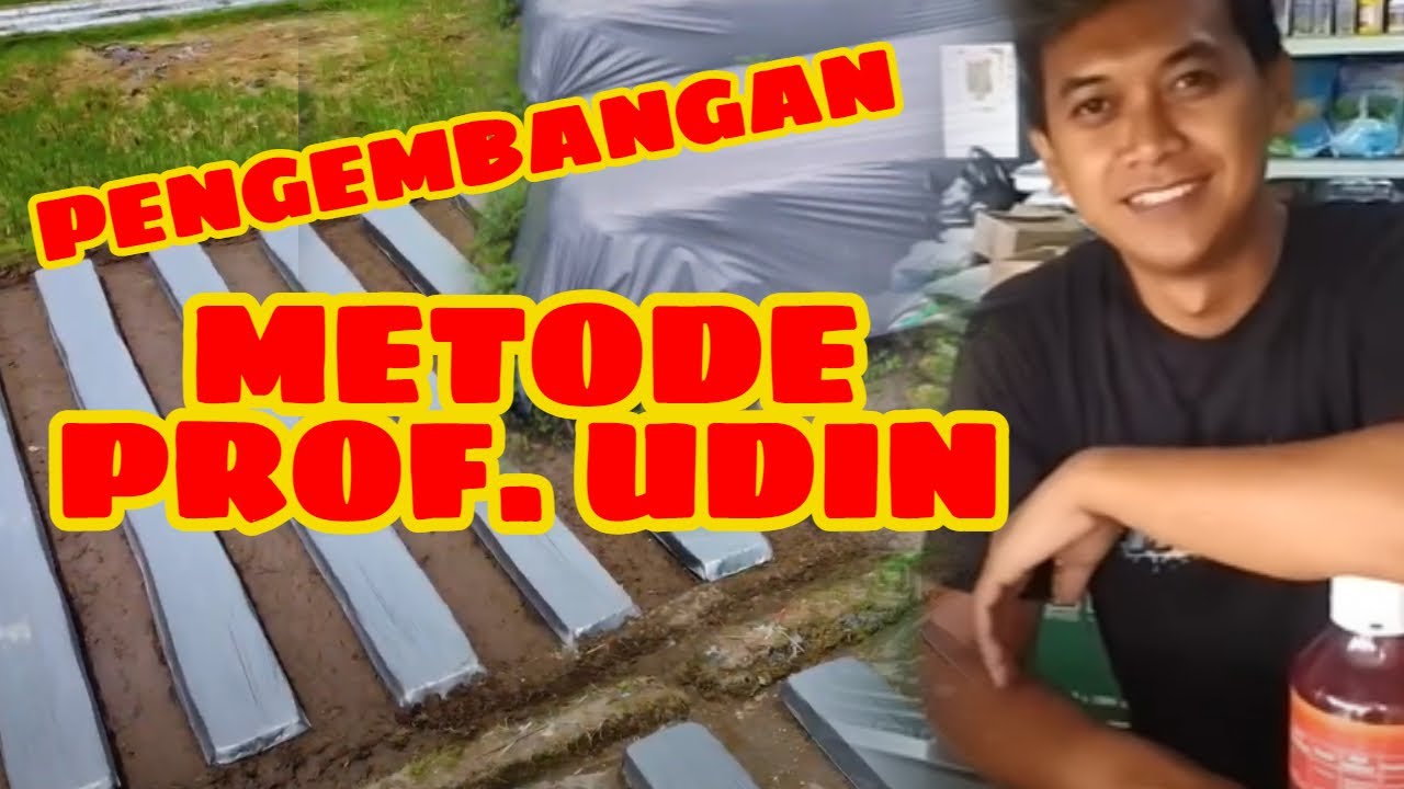METODE TERBARU OLAH LAHAN Prof Udin  dengan TEKNIK pembuatan bedengan TEGAK LURUS